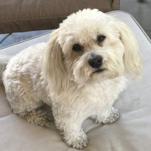 Meet your Posher, Jana